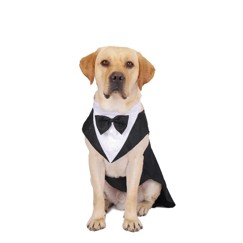 Одежда для собак: свадебная ру – обзор и цена Suit Supply Wedding Party