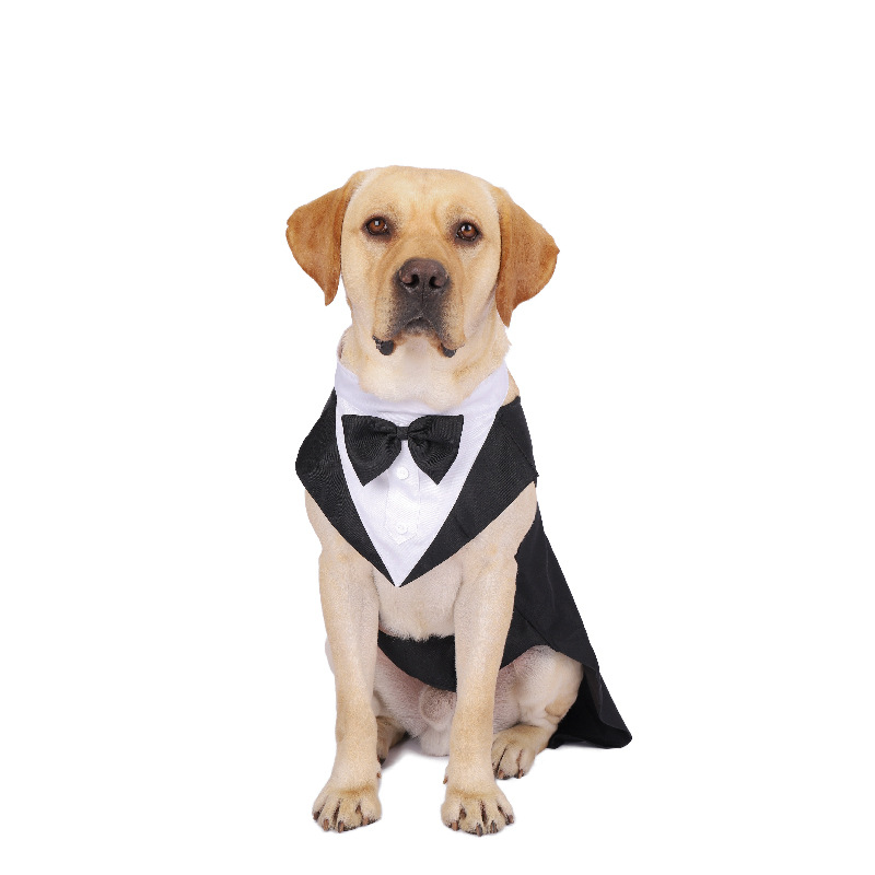 Одежда для собак, модный празд – обзор и цена Suit Supply Wedding Party