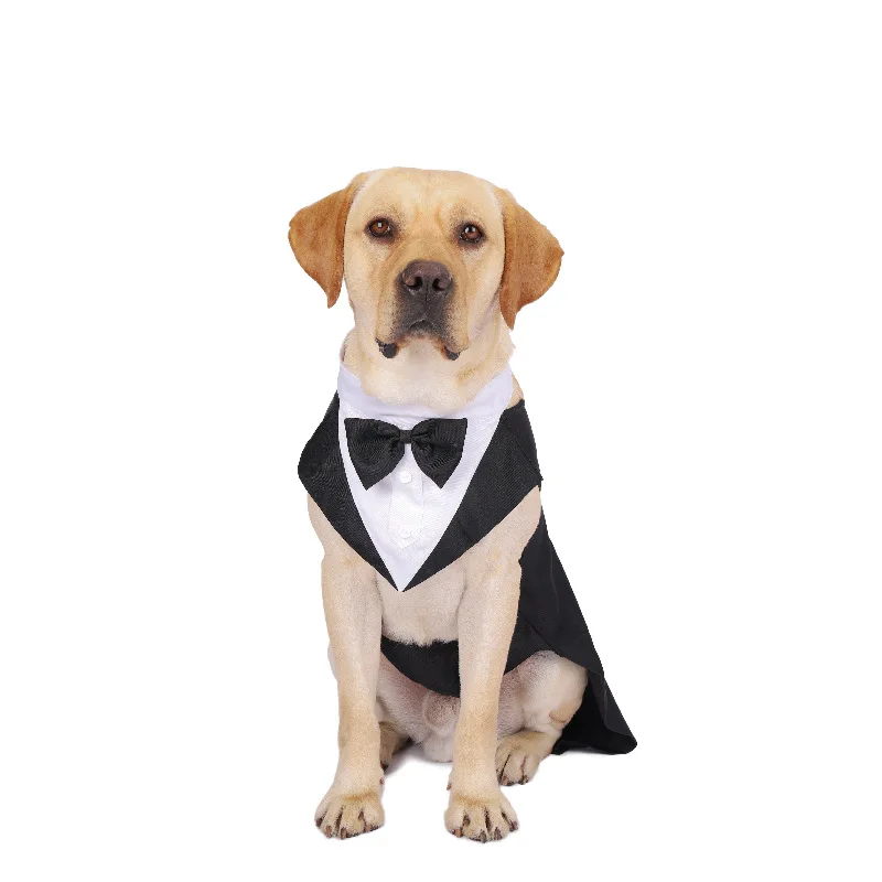 Одежда для собак, модный празд – обзор и цена Suit Supply Wedding Party