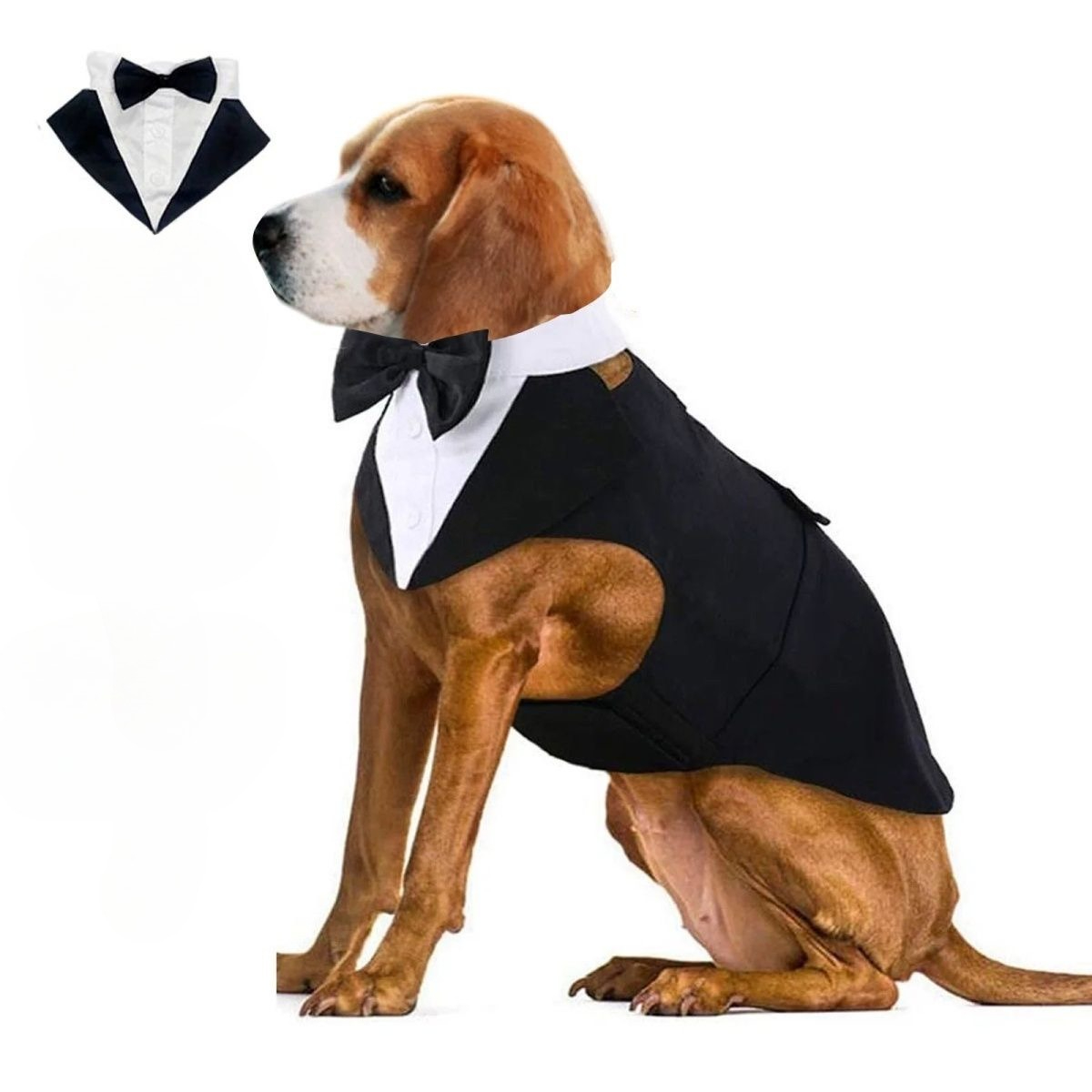 Одежда для собак: модный празд – обзор и цена Suit Supply Wedding Party